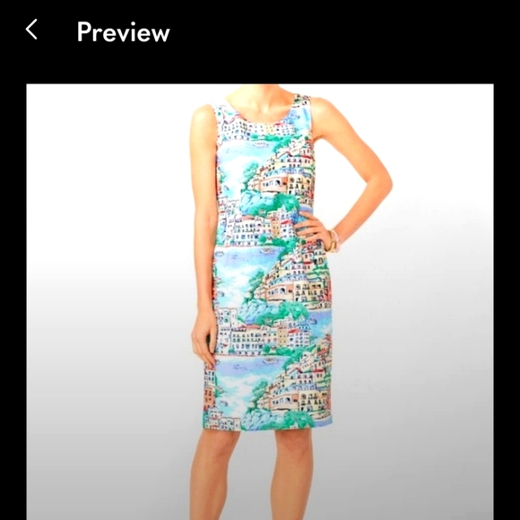 Talbots Scenic Village Shift Dress - Picture 6 of 6